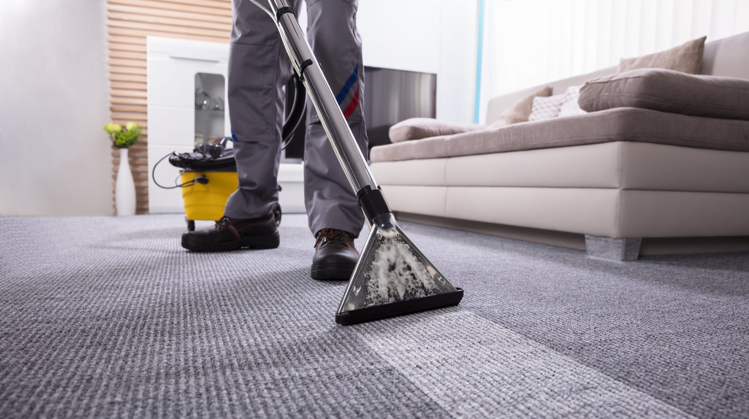 Carpet Cleaning Services in Ellicott City, MD, Sterling, VA, Vienna, VA,