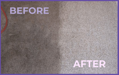 Deep carpet cleaning services in Sterling, VA