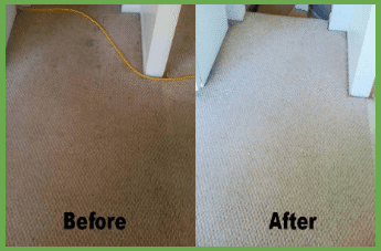 Carpet cleaning services in Gaithersburg, MD