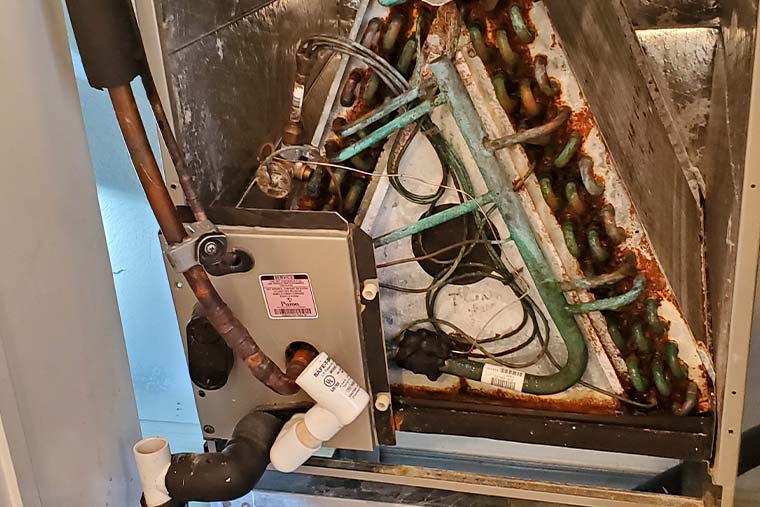 HVAC mold remediation in Silver Spring, MD