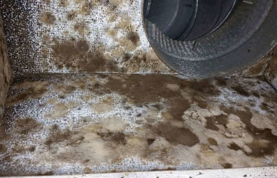 an extremely dirt and moldy air vent needing Air Duct Mold Cleaning and Treatment in Potomac, Maryland