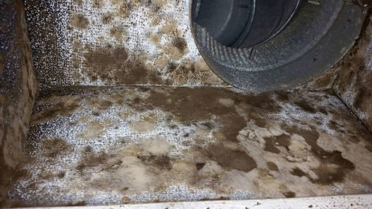 Air Duct covered in brown mold before Air Duct Mold Cleaning in Montgomery County