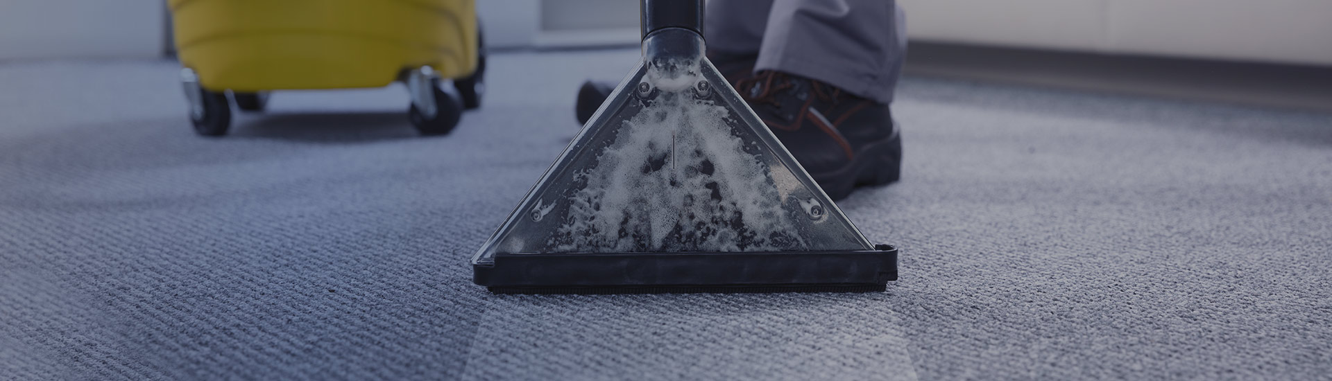 Carpet Cleaning Services in Ellicott City, MD, Vienna, VA, Bethesda, MD, and Surrounding Areas