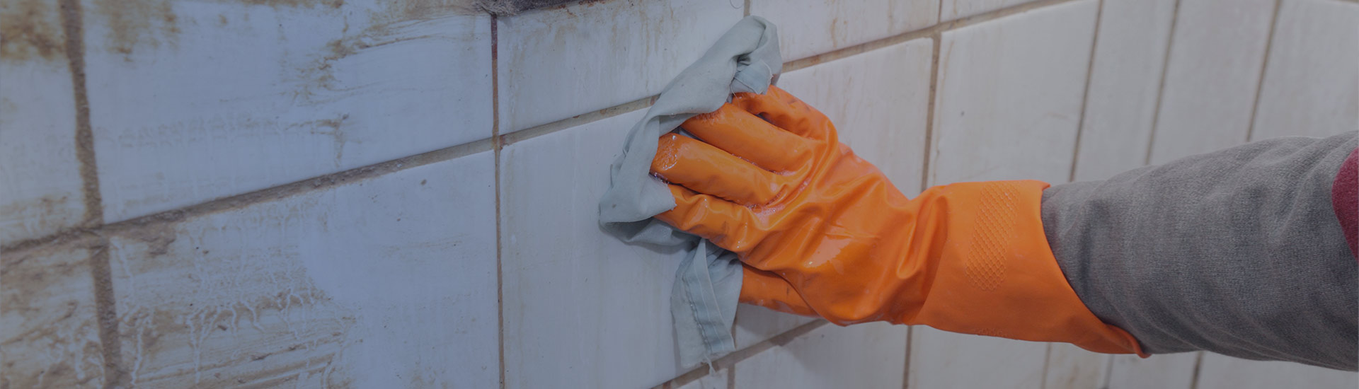 Tile and Grout Cleaning in Reston, Silver Springs, MD, Vienna, VA, and Nearby Cities