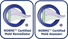 NORMI mold assessment and mold remediation certified