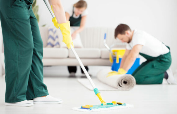 a team of workers performing Carpet Cleaning Services and Upholstery Cleaning in Ellicott City, MD