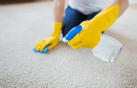 a worker spraying a carpet while providing Commercial and Residential Carpet Cleaning in Ashburn, Virginia