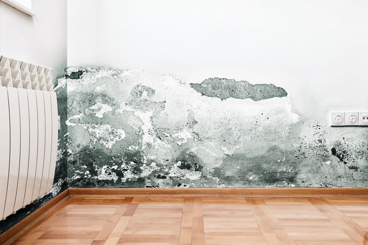 corner of a room that requires Mold Removal in Gaithersburg