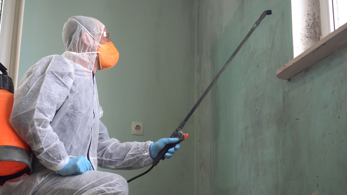 corner of a room that requires Mold Removal Services in Bethesda, MD