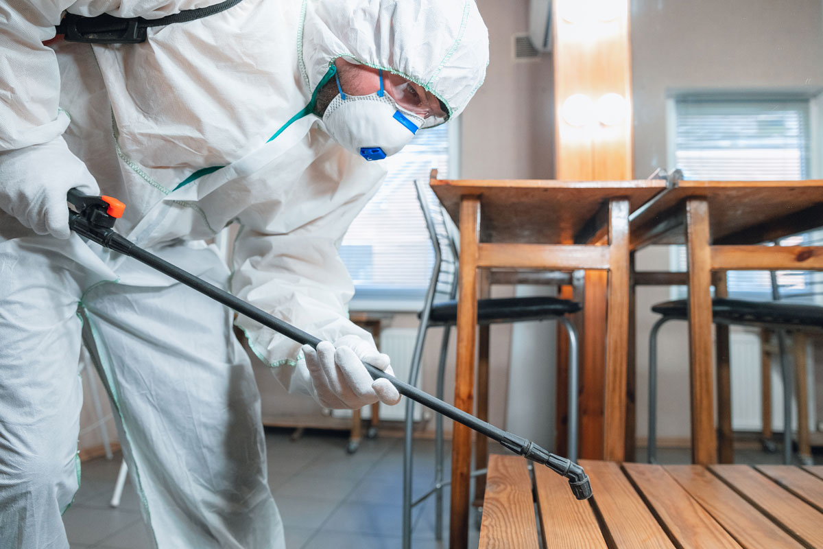 corner of a room that requires Mold Removal Services in Ashburn