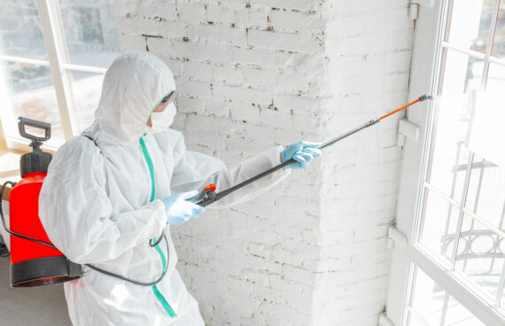 Mold Removal in Gaithersburg, Leesburg, VA, Columbia, MD, Sterling, VA