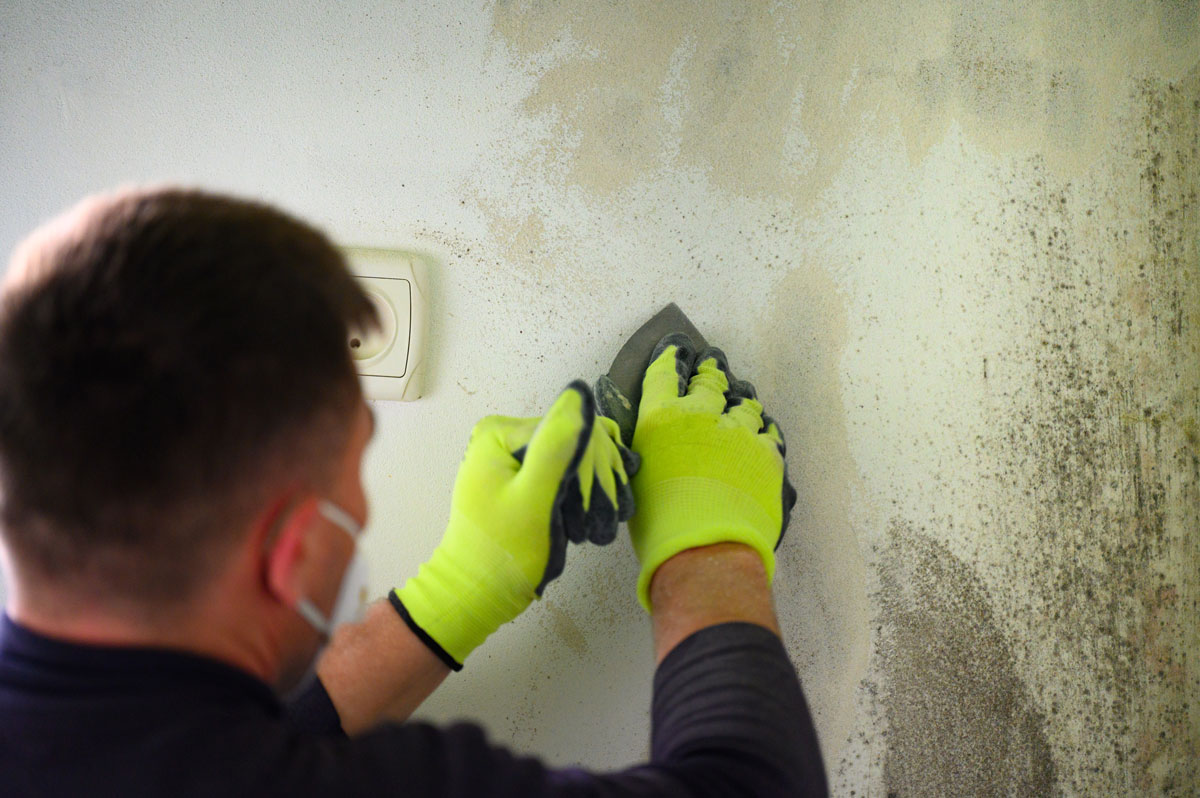 corner of a room that requires Mold Removal Services in Sterling, VA