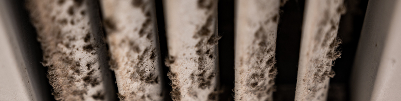 Why Clean Your Air Ducts From an Air Duct Cleaning Company in Gaithersburg and Rockville, MD & Ashburn and Leesburg, VA